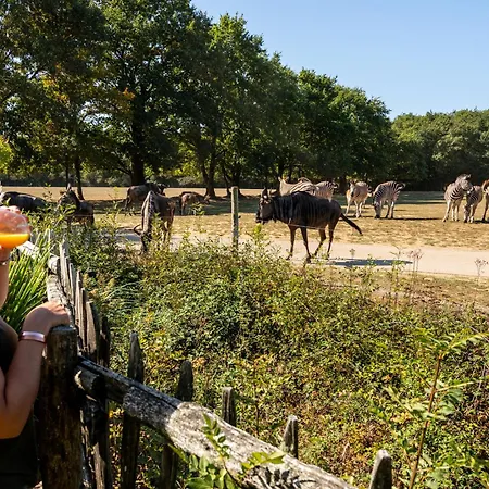 Sejour Insolite Safari Parc - Planete Sauvage *
