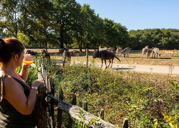 Sejour Insolite Safari Parc - Planete Sauvage *
