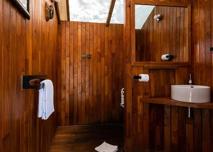 Sejour Insolite Safari Parc - Planete Sauvage 波特圣皮里